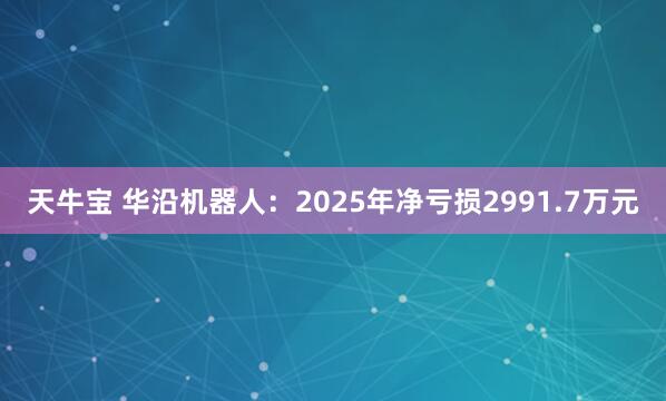 天牛宝 华沿机器人：2025年净亏损2991.7万元